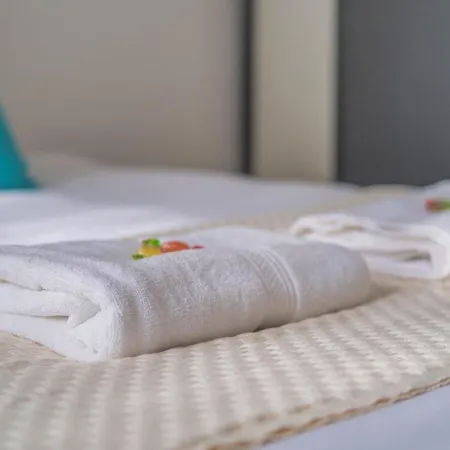 Apartman Boulingrin - Hypercentre *